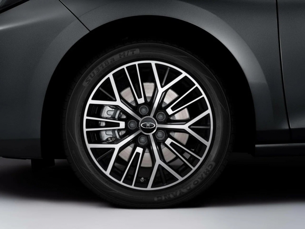 ���� ������� 6