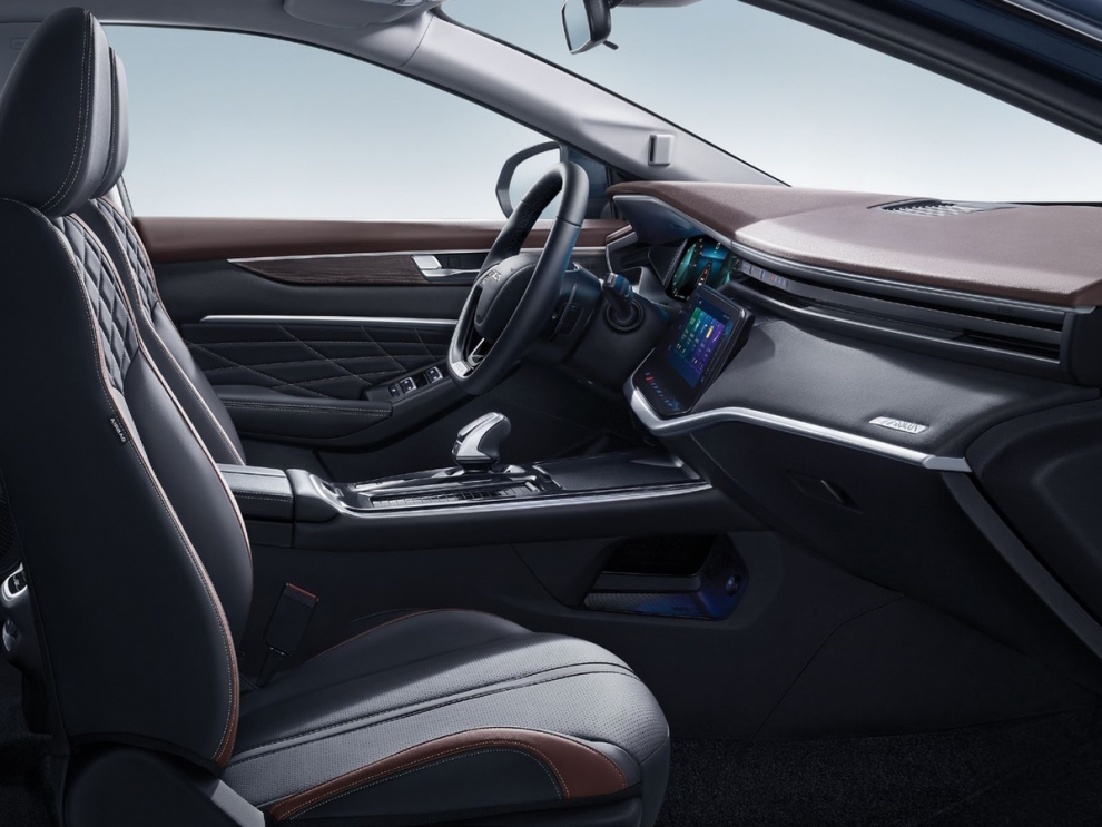 ���� DFM Shine Max