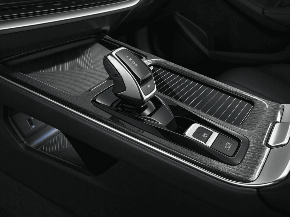 ���� DFM Shine Max