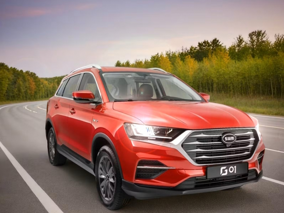 ���� SWM G01