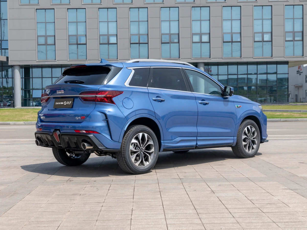 ���� SWM G01F