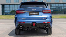   SWM G01F