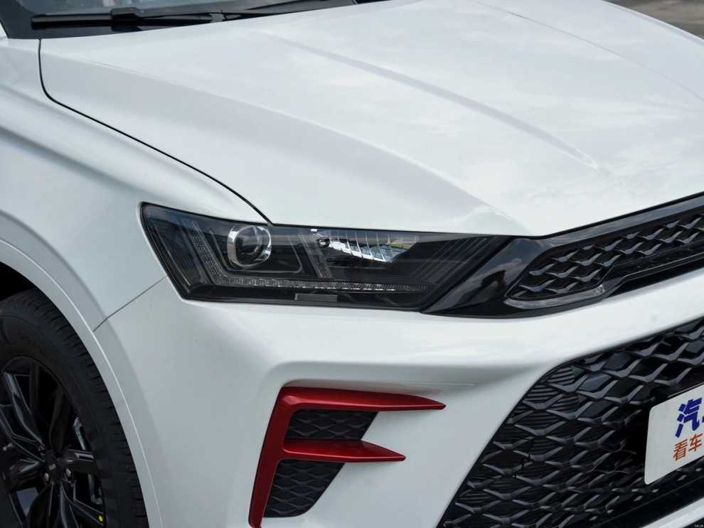 ���� SWM G01F