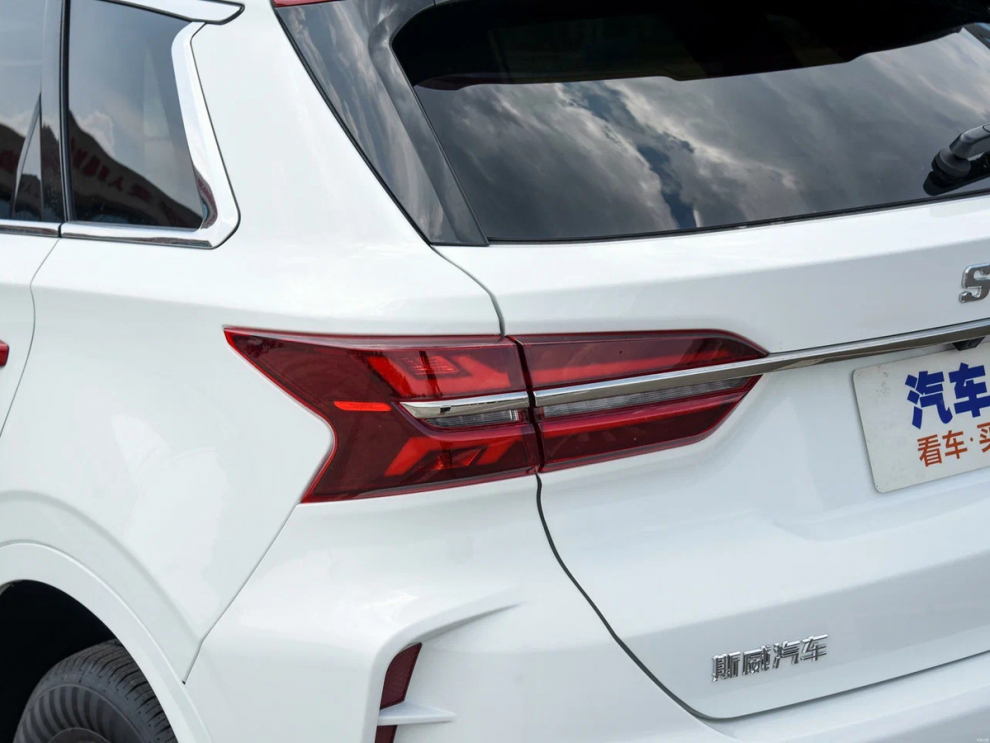 ���� SWM G01F