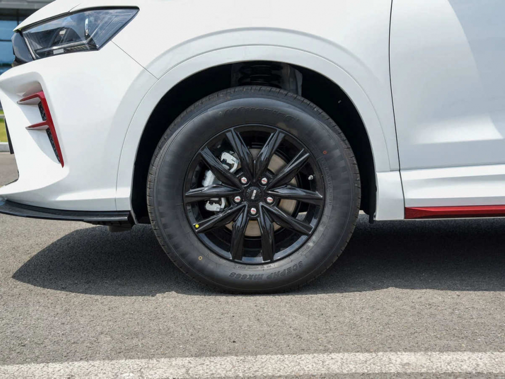 ���� SWM G01F