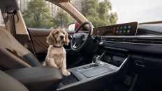 Фото салона TENET T4