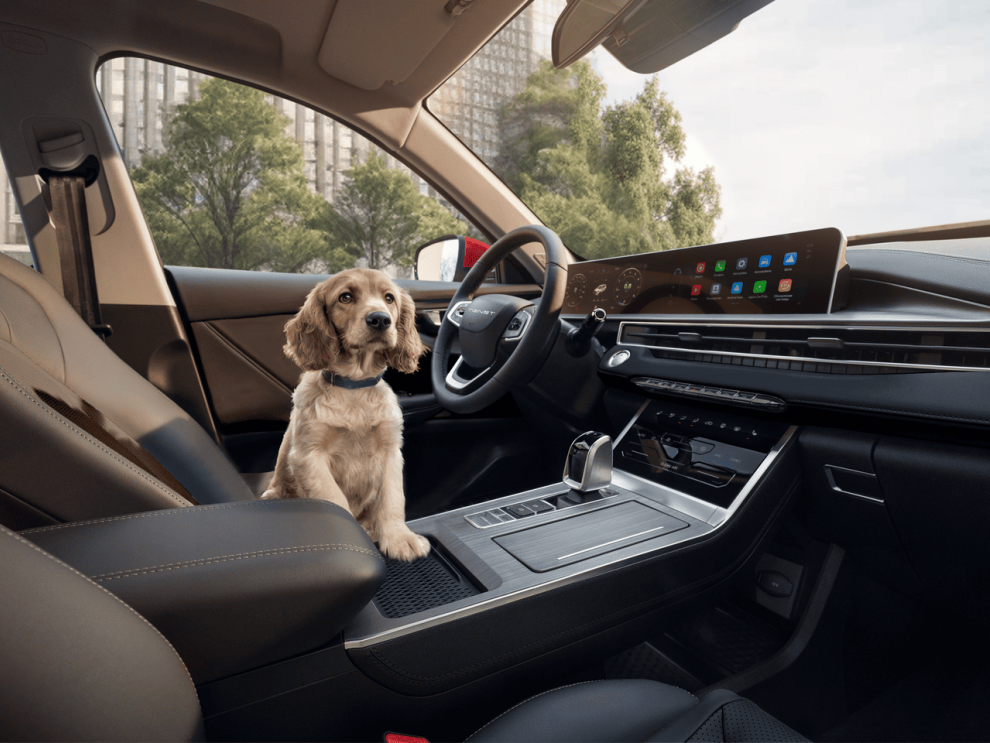 ���� TENET T4